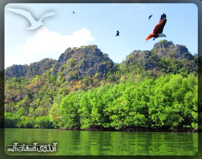 پارک طبیعی قالیچه لنکاوی