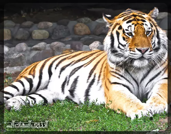 Jaipur_Zoo